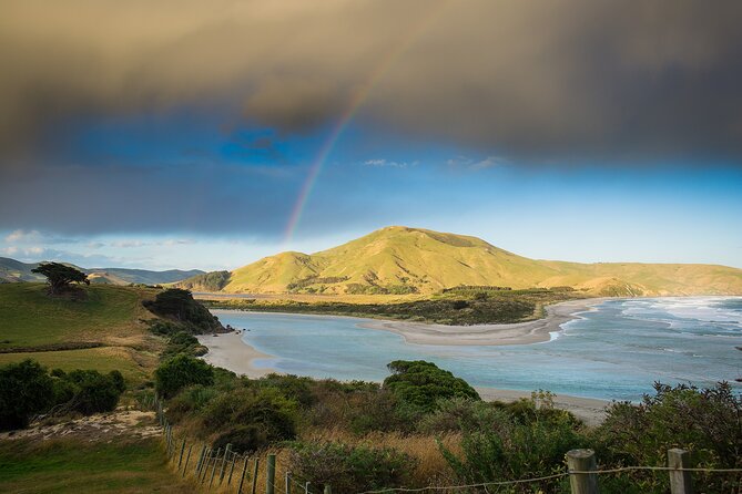 Otago Peninsula Wildlife Tour & Cruise - Penguin Place and the Yellow-eyed Penguin Conservation Reserve: what that walk is really for