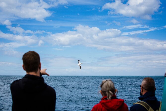 Otago Peninsula Wildlife Tour & Cruise - Who this tour is best for (and who should choose something else)