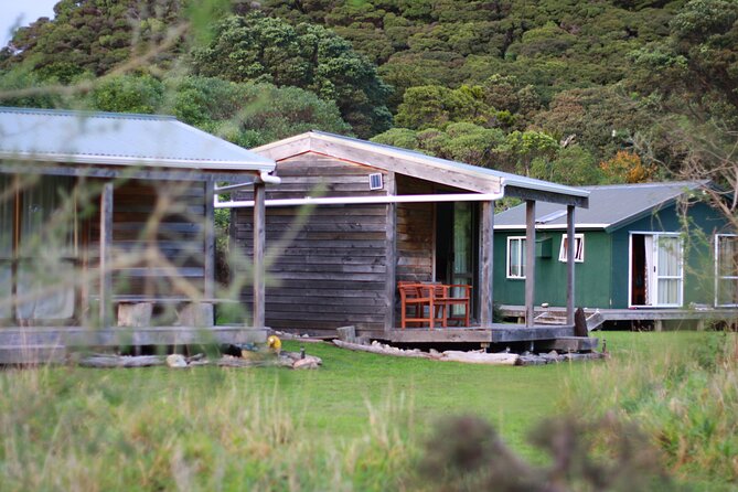 Overnight Experience Tour on Kapiti Island - Paraparaumu Ferry Morning and First Steps on the Island
