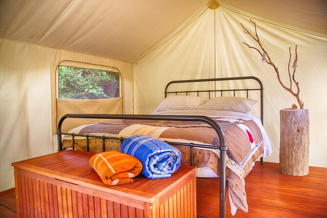 Overnight Experience Tour on Kapiti Island - Fitness and Footwear Reality Check (So You Don’t Have a Bad Time)