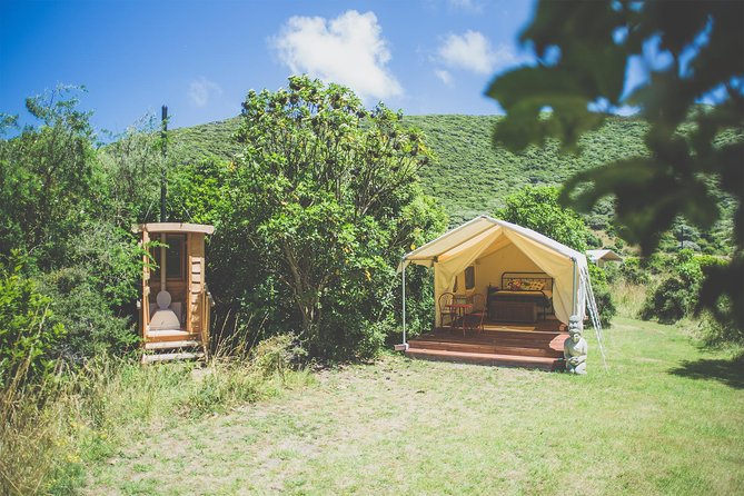 Overnight Experience Tour on Kapiti Island - Day 1: Packed Lunch, Guided Walking, and Getting Your Bearings