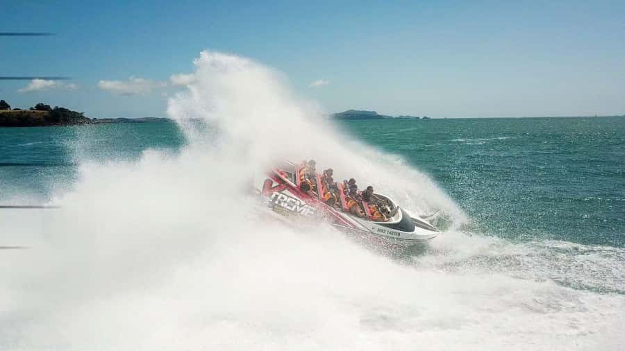 Paihia: Bay of Islands 30-minute Adventure Jet Boat Trip - Key Things You’ll Notice on This Paihia Jet Boat Trip