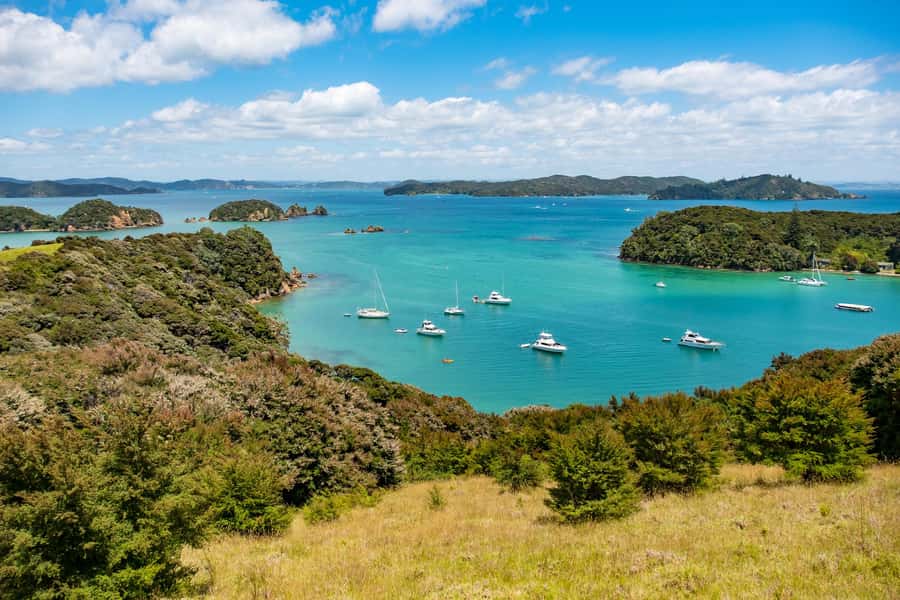 Paihia: Bay of Islands Dolphin Eco Cruise & Island Stopover - Urupukapuka Island and Otehei Bay, your landing break from the sea