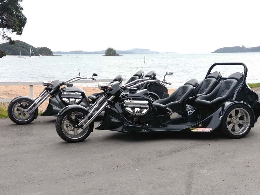 Paihia: Bay of Islands Trike Tour Experience - Haruru Falls, Waitangi Lookout, and Opua marina, what each stop gives you