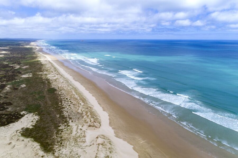 Paihia: Cape Reinga and Ninety Mile Beach Trip with Lunch - Ninety Mile Beach driving: the signature experience you pay for