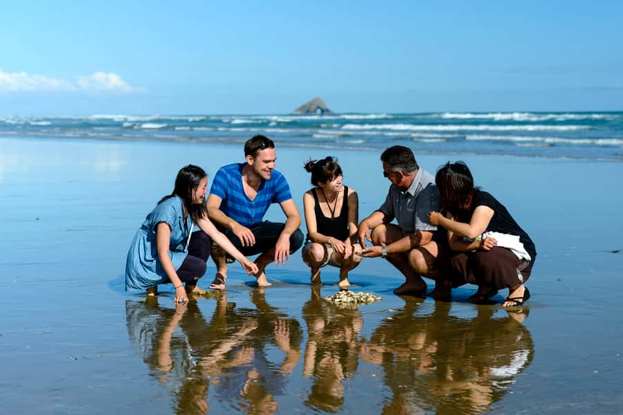 Paihia: Cape Reinga and Ninety Mile Beach Trip with Lunch - Price and value: what $104 buys you in the real world