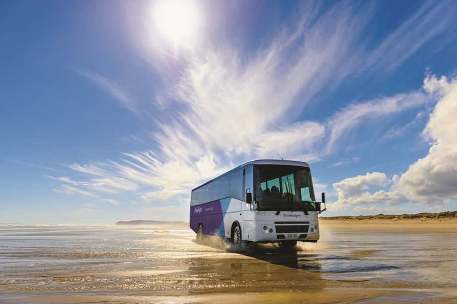 Paihia: Cape Reinga and Ninety Mile Beach Trip with Lunch - Meeting at Fullers GreatSights and settling into the 46-seat beach bus