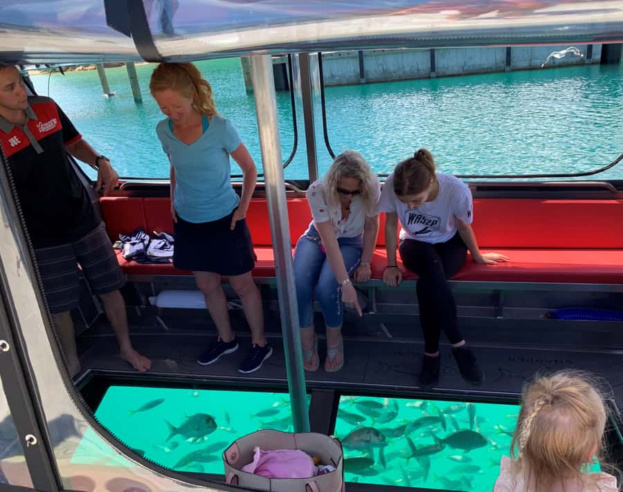 Paihia: Glass Bottom Boat Tour to the Hole in the Rock - Meet at Paihia Main Wharf, then get sun-ready fast