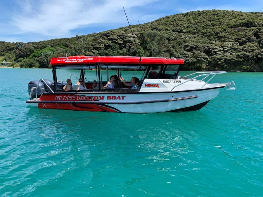 Paihia: Glass Bottom Boat Tour to the Hole in the Rock - Small-group glass-bottom boat basics, and why the guide matters