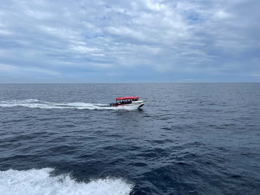 Paihia: Glass Bottom Boat Tour to the Hole in the Rock - Cape Reg lighthouse stories and sea-life facts from your skipper