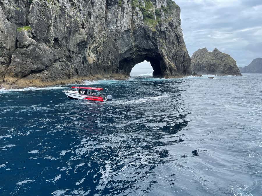Paihia: Glass Bottom Boat Tour to the Hole in the Rock - Value check at $74, and who this tour is best for