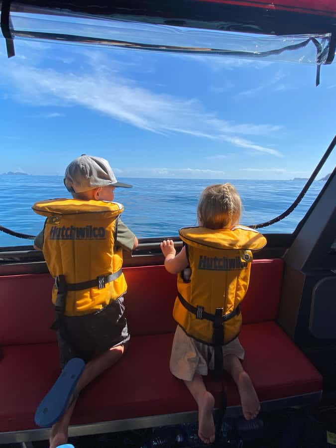 Paihia: Glass Bottom Boat Tour to the Hole in the Rock - Should you book the Paihia glass-bottom Hole in the Rock tour?