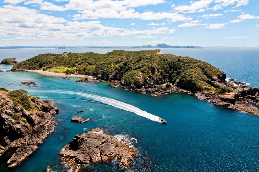 Paihia: Hole in the Rock Fast Boat Ocean Adventure - Bay of Islands Speedboat Thrills, Without a Long Day