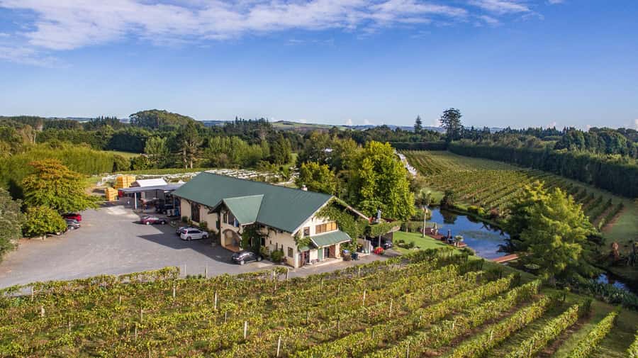 Paihia or Kerikeri: Wine, Spirit, & Craft Beer Tour - Phat House Brewery at Haruru Falls: unfiltered, unpasteurized beer samples