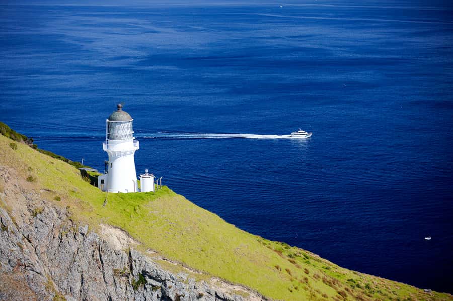 Paihia/Russell: Hole in the Rock and Bay of Islands Cruise - Should you book: my decision guide