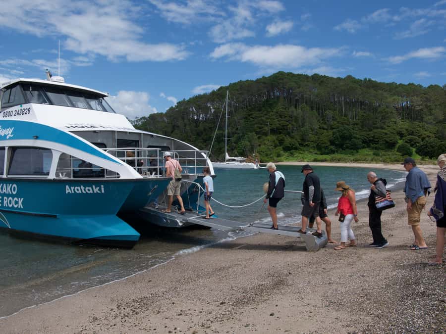 Paihia/Russell: Hole in the Rock Cruise with 2 Island Stops - Key takeaways before you book