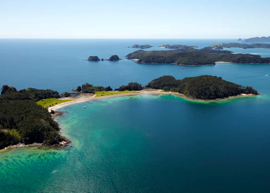 Paihia/Russell: Hole in the Rock Cruise with 2 Island Stops - Who this cruise suits best (and who should think twice)