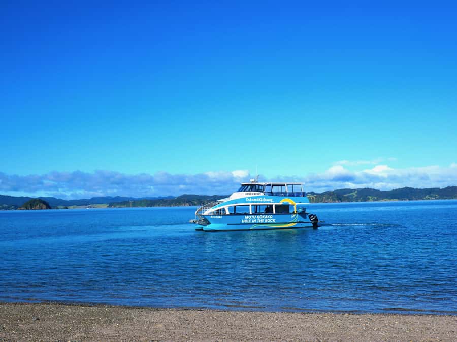 Paihia/Russell: Hole in the Rock Cruise with 2 Island Stops - Cape Brett Peninsula and the lighthouse, plus Piercy for photos and wildlife