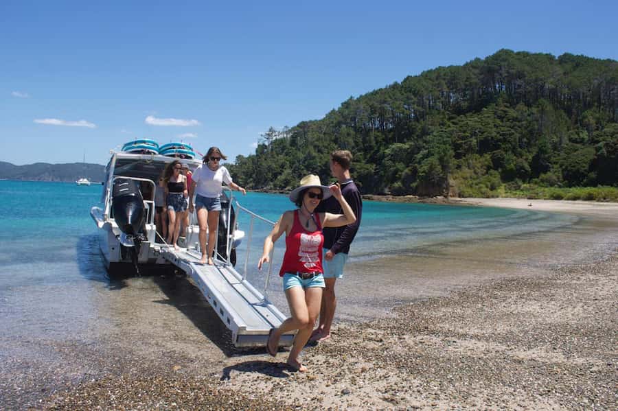 Paihia/Russell: Hole in the Rock Cruise with 2 Island Stops - Roberton Island viewpoints and Urupukapuka snorkeling time
