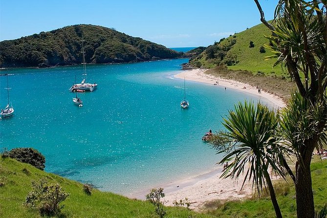 Phantom Sailing Bay of Islands - Rick and Robin: Sailing Stories With Real Local Context
