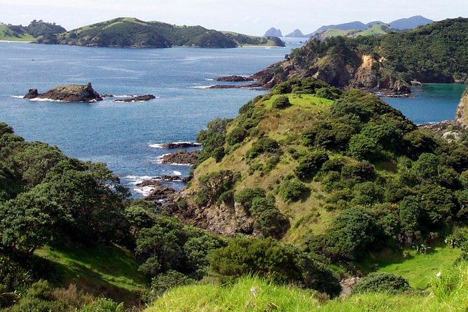 Phantom Sailing Bay of Islands - Phantom Yacht Vibe: Comfortable, Quick, and Not Crowded