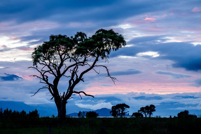 Photography Tour from Queenstown to Glenorchy - 1/2 Day - Tripod on request, and how to use it without overthinking