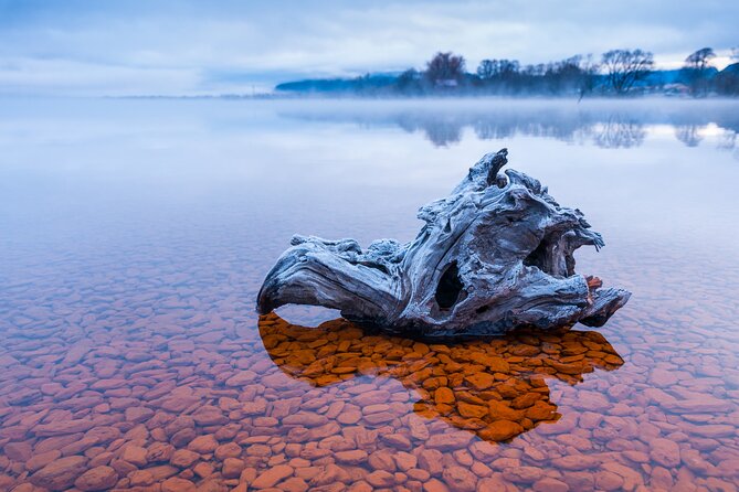 Photography Tour from Queenstown to Glenorchy - 1/2 Day - Snacks, pickup, and what’s practical for your day