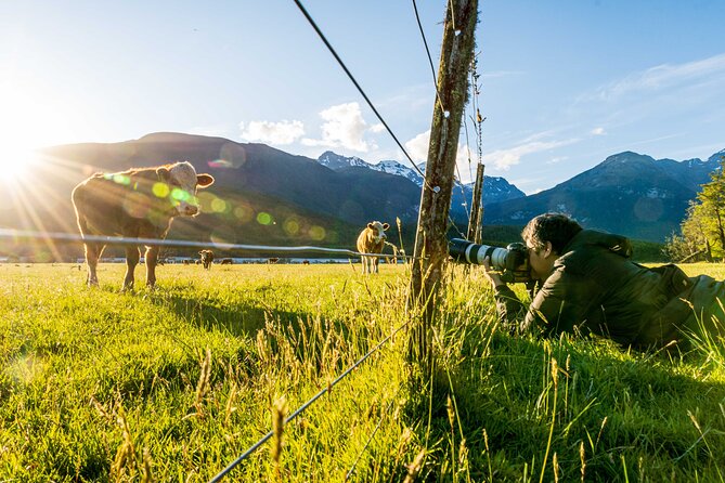 Photography Tour from Queenstown to Glenorchy - 1/2 Day - Who this tour fits best (and who might feel underwhelmed)