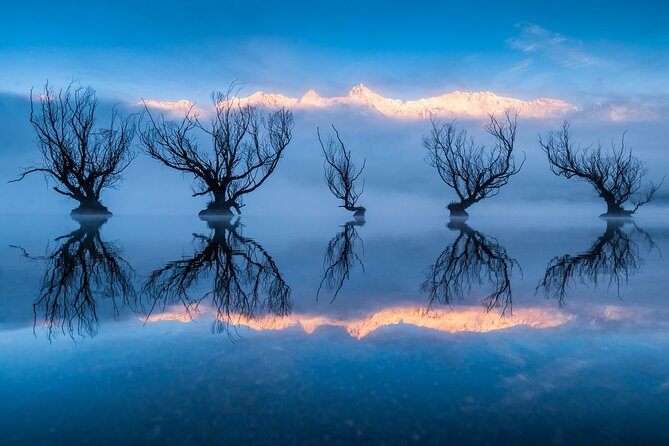 Photography Tour from Queenstown to Glenorchy - 1/2 Day - Price and value: what $235.82 per person really buys you