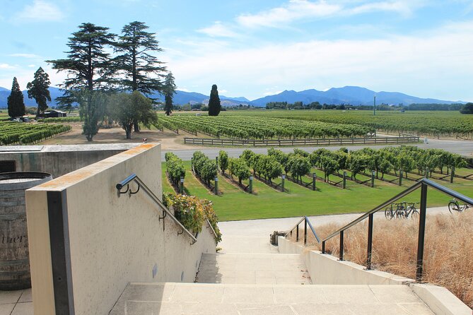 Picton & Blenheim Scenic Tour - Blenheim wine country drive and why the timing matters