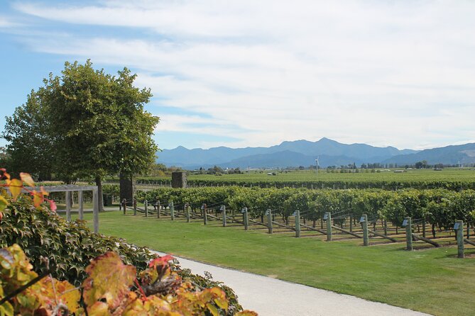 Picton & Blenheim Scenic Tour - Makana Chocolate factory, watch and sample