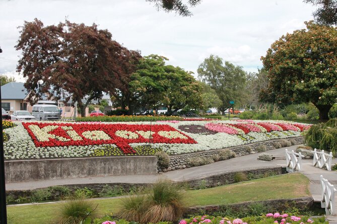 Picton & Blenheim Scenic Tour - Winery time: a wine tasting with four samples