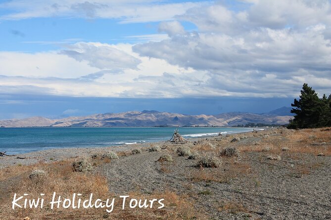 Picton & Blenheim Scenic Tour - Getting picked up and settling into the comfortable van