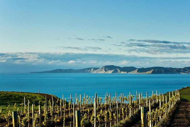 Picton Cruise Ship Shore Excursion Marlborough Wine Tour - From Picton Port to Marlborough Vineyards, Without the Stress
