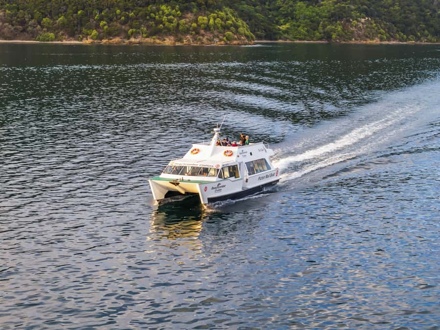 Picton Shore Excursion: Queen Charlotte Sounds Cruise - Key reasons this cruise works so well