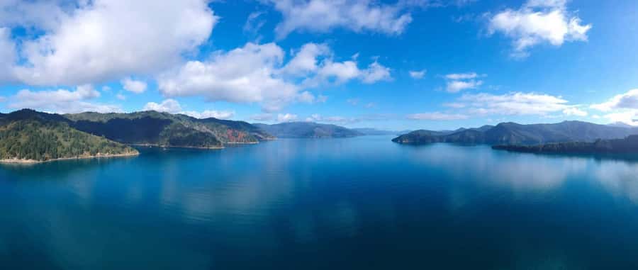 Picton Shore Excursion: Queen Charlotte Sounds Cruise - Practical details that affect your comfort and photos