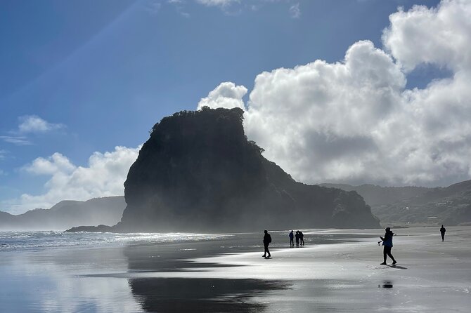 Piha Beach - Hillary Trail start and the lookout walk: where the views connect to the hike