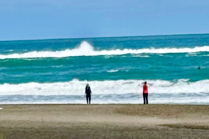 Piha Beach - Value and price: is $173.76 per person worth it?