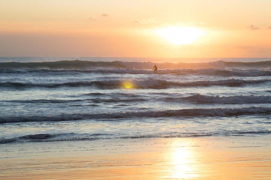 Piha Beach & Wilderness Private Tour: Auckland Half Day Trip - What you’re really buying with a private Piha and Waitākere day