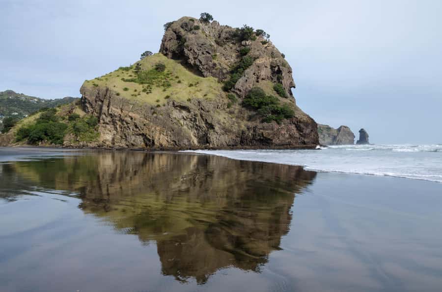 Piha Beach & Wilderness Private Tour: Auckland Half Day Trip - Arataki Visitor Centre: the smart way to set context before you go wild