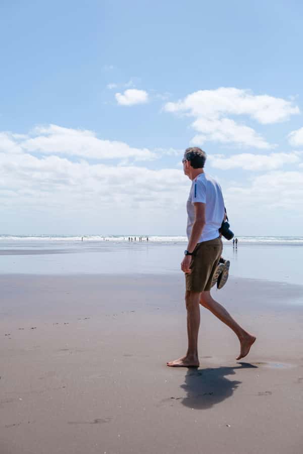 Piha Beach & Wilderness Private Tour: Auckland Half Day Trip - What’s included, what’s not, and the value math for $375
