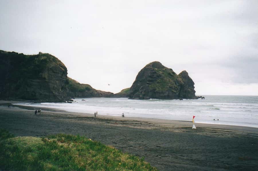 Piha Beach & Wilderness Private Tour: Auckland Half Day Trip - Private pickup and drop-off, where the day starts to feel easy
