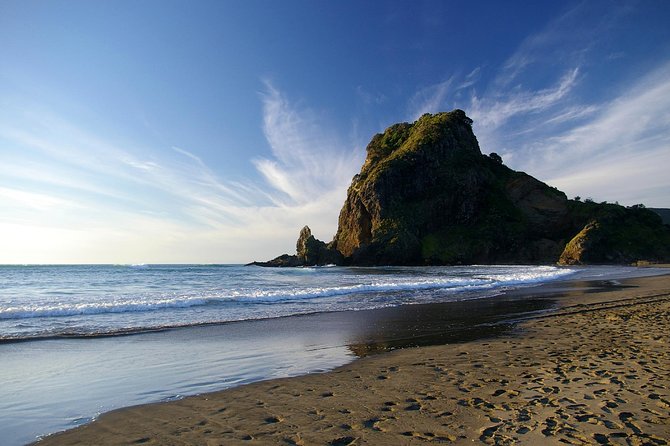 Piha Waitakere Rainforest Wine Tour from Auckland - Piha Beach and Karekare Falls: Volcanic Coast + Rainforest Walking