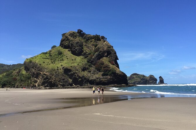 Piha Waitakere Rainforest Wine Tour from Auckland - The Guide Makes or Breaks the Day: John, Tony, and Real Local Stories