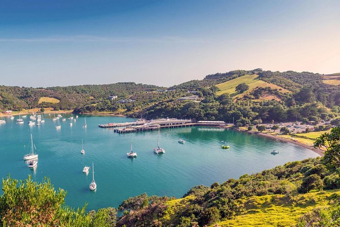 Piha Waitakere Rainforest Wine Tour from Auckland - Price and Value at About $195.48: What You Get for Your Money