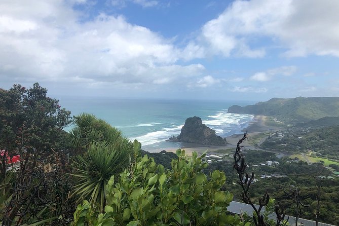 Piha Waitakere Rainforest Wine Tour from Auckland - Winery Stop One in Kumeu: Soljans Estate and the Taste of West Auckland