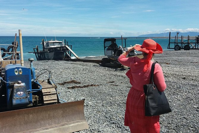 "Pinot to Palliser tour" - Guided tour to Cape Palliser vith lunch + winetasting - Why Cape Palliser and Martinborough pair so well