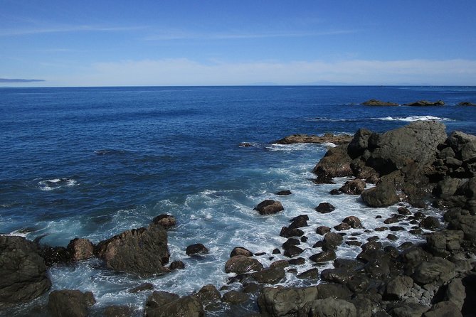 "Pinot to Palliser tour" - Guided tour to Cape Palliser vith lunch + winetasting - Lunch at the historic Lake Ferry Hotel, plus tea or coffee