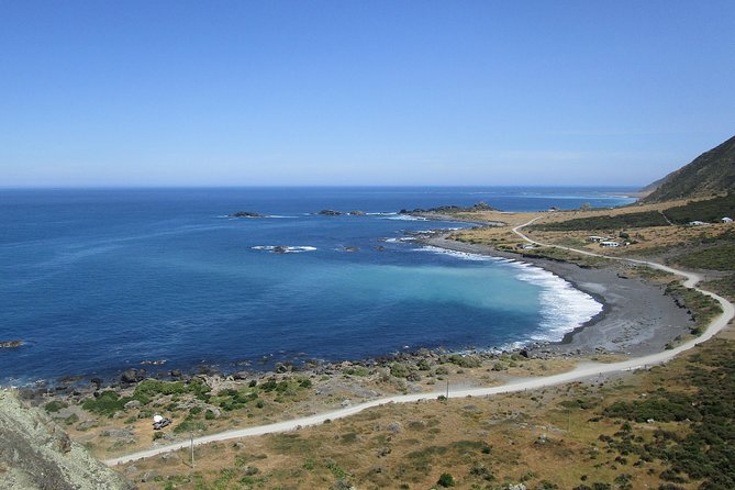 "Pinot to Palliser tour" - Guided tour to Cape Palliser vith lunch + winetasting - Wine tasting in Martinborough: award-winning bottles and a calm finish