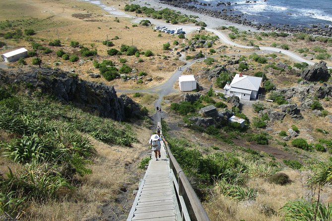 "Pinot to Palliser tour" - Guided tour to Cape Palliser vith lunch + winetasting - Who this tour suits best, and who might skip it